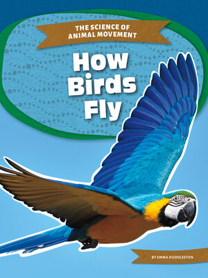 cover image of How Birds Fly